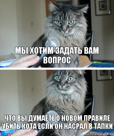 мы хотим задать вам вопрос что вы думаете о новом правиле убить кота если он насрал в тапки, Комикс  кот с микрофоном