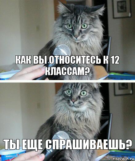 Как вы относитесь к 12 классам? ТЫ ЕЩЕ СПРАШИВАЕШЬ?, Комикс  кот с микрофоном