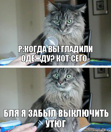 Р:КОГДА ВЫ ГЛАДИЛИ ОДЕЖДУ? КОТ:СЕГО- БЛЯ Я ЗАБЫЛ ВЫКЛЮЧИТЬ УТЮГ, Комикс  кот с микрофоном