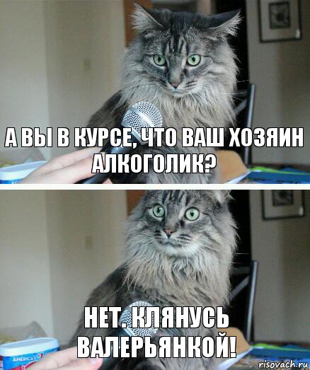 а вы в курсе, что ваш хозяин алкоголик? нет. клянусь валерьянкой!, Комикс  кот с микрофоном