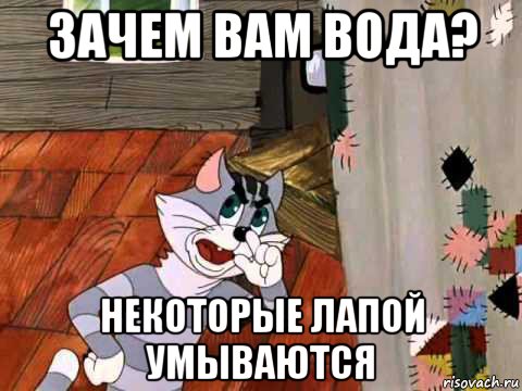 зачем вам вода? некоторые лапой умываются, Мем Кот Матроскин возмущен