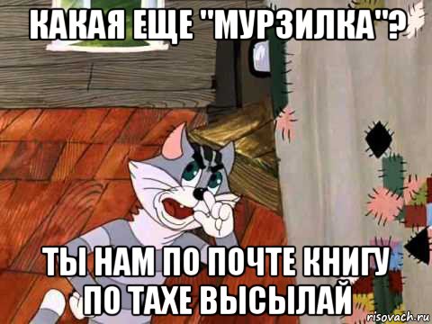 какая еще "мурзилка"? ты нам по почте книгу по тахе высылай, Мем Кот Матроскин возмущен