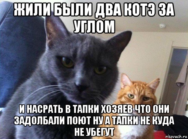 жили были два котэ за углом и насрать в тапки хозяев что они задолбали поют ну а тапки не куда не убегут, Мем  Два котэ