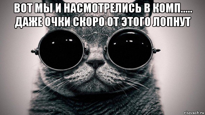 вот мы и насмотрелись в комп..... даже очки скоро от этого лопнут , Мем Котоматрица