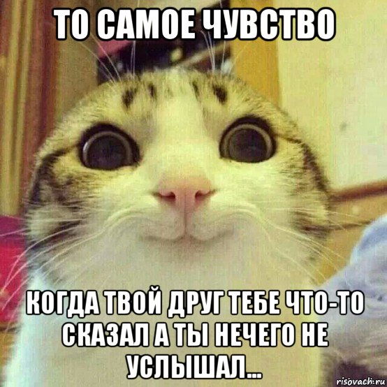 то самое чувство когда твой друг тебе что-то сказал а ты нечего не услышал..., Мем       Котяка-улыбака