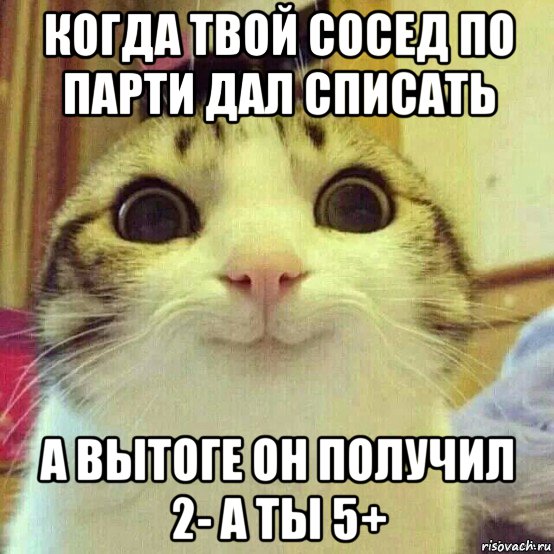 когда твой сосед по парти дал списать а вытоге он получил 2- а ты 5+, Мем       Котяка-улыбака