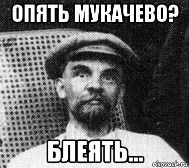 опять мукачево? блеять..., Мем   Ленин удивлен