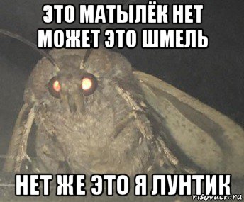 это матылёк нет может это шмель нет же это я лунтик, Мем Матылёк