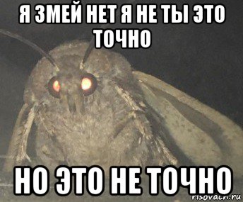 я змей нет я не ты это точно но это не точно, Мем Матылёк