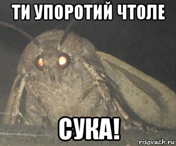 ти упоротий чтоле сука!