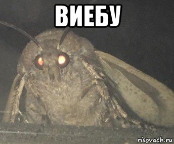 виебу 