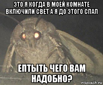 это я когда в моей комнате включили свет а я до этого спал ептыть чего вам надобно?, Мем Матылёк