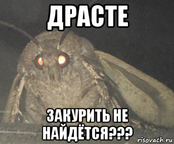 драсте закурить не найдётся???, Мем Матылёк