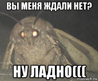 вы меня ждали нет? ну ладно(((, Мем Матылёк