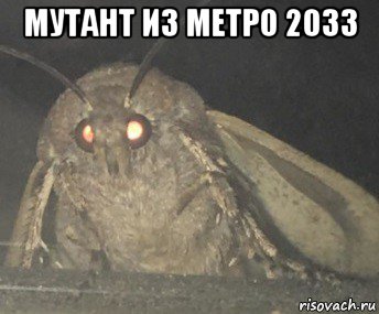 мутант из метро 2033 , Мем Матылёк