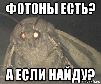 фотоны есть? а если найду?, Мем Матылёк