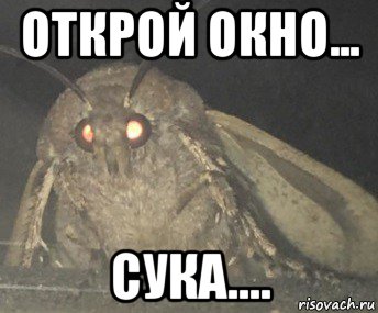 открой окно... сука...., Мем Матылёк