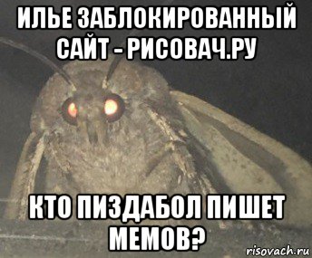 илье заблокированный сайт - рисовач.ру кто пиздабол пишет мемов?, Мем Матылёк