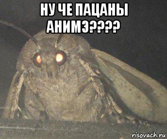 ну че пацаны анимэ???? , Мем Матылёк