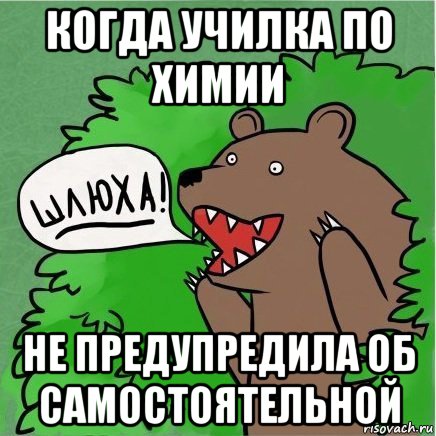 когда училка по химии не предупредила об самостоятельной, Мем Медведь в кустах