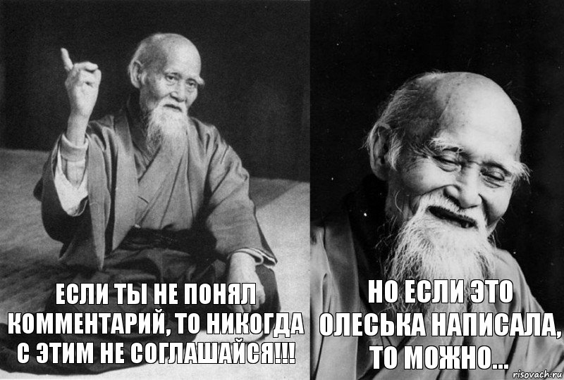 Если ты не понял комментарий, то никогда с этим не соглашайся!!! Но если это Олеська написала, то можно...