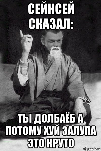 сейнсей сказал: ты долбаёб а потому хуй залупа это круто