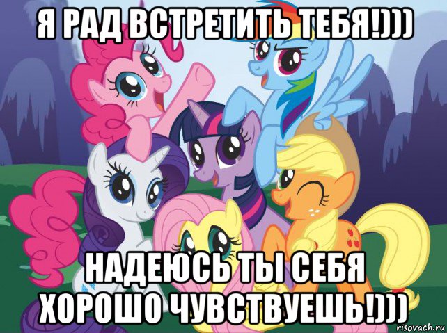 я рад встретить тебя!))) надеюсь ты себя хорошо чувствуешь!))), Мем My little pony