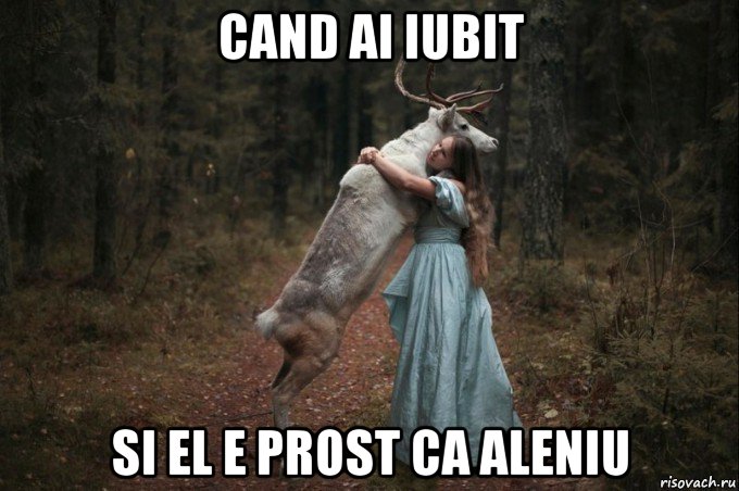 cand ai iubit si el e prost ca aleniu, Мем Наивный Олень шаблон 5