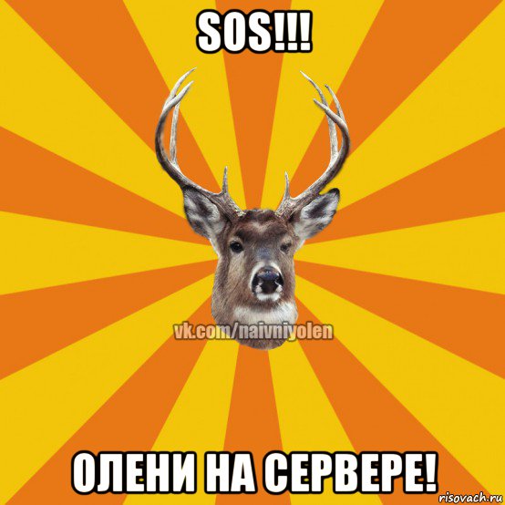 sos!!! олени на сервере!