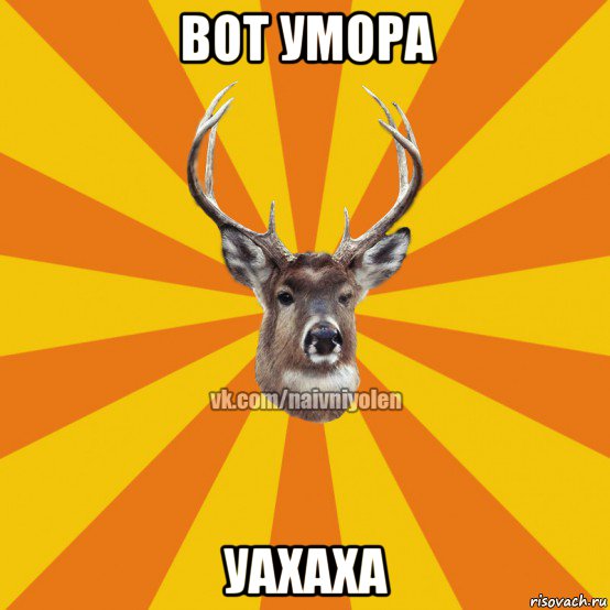 вот умора уахаха