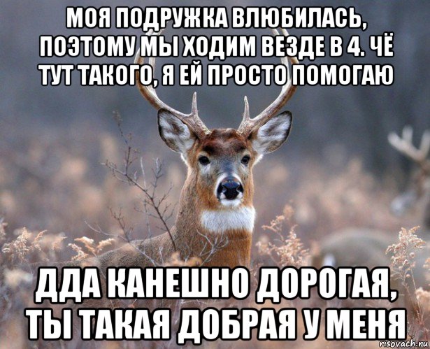 моя подружка влюбилась, поэтому мы ходим везде в 4. чё тут такого, я ей просто помогаю дда канешно дорогая, ты такая добрая у меня, Мем   Наивный олень