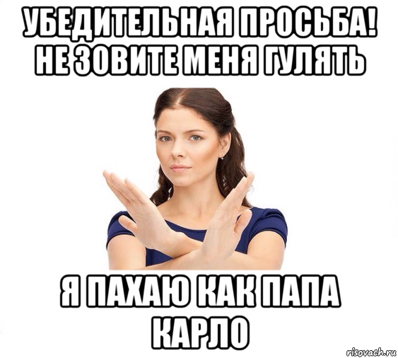 убедительная просьба! не зовите меня гулять я пахаю как папа карло, Мем Не зовите