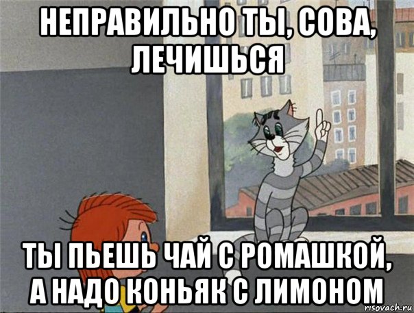 неправильно ты, сова, лечишься ты пьешь чай с ромашкой, а надо коньяк с лимоном