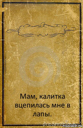  Мам, калитка вцепилась мне в лапы., Комикс обложка книги