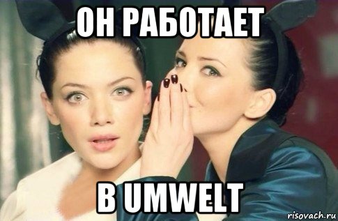 он работает в umwelt, Мем  Он