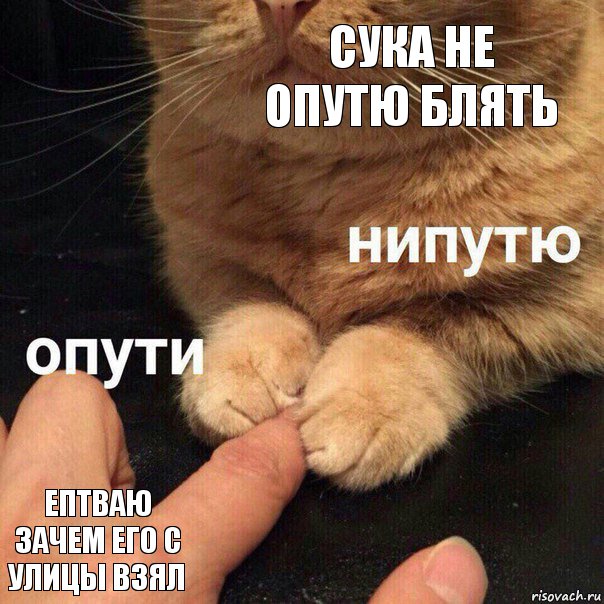 сука не опутю блять ептваю зачем его с улицы взял