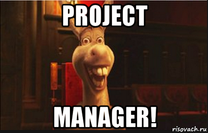 project manager!, Мем Осел из Шрека