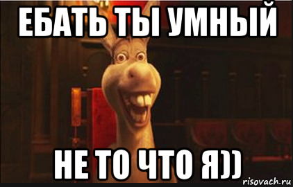 ебать ты умный не то что я)), Мем Осел из Шрека