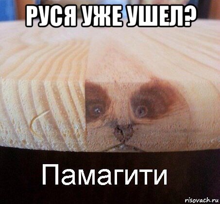 руся уже ушел? , Мем   Памагити