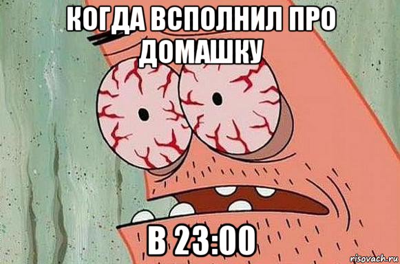 когда всполнил про домашку в 23:00, Мем  Патрик в ужасе