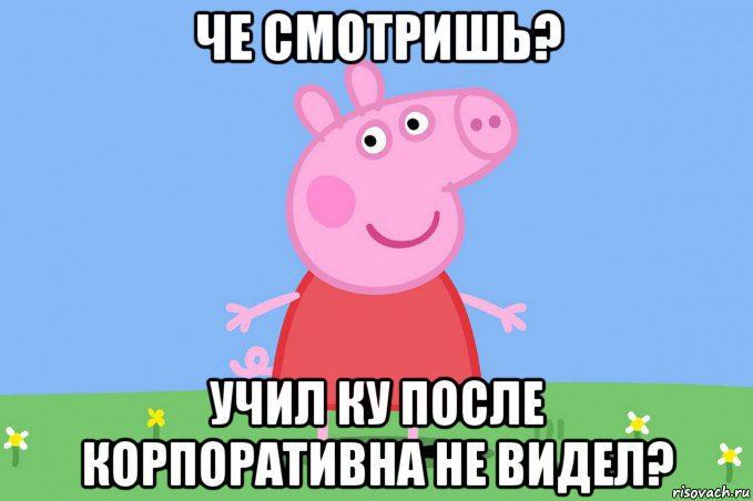 че смотришь? учил ку после корпоративна не видел?, Мем Пеппа