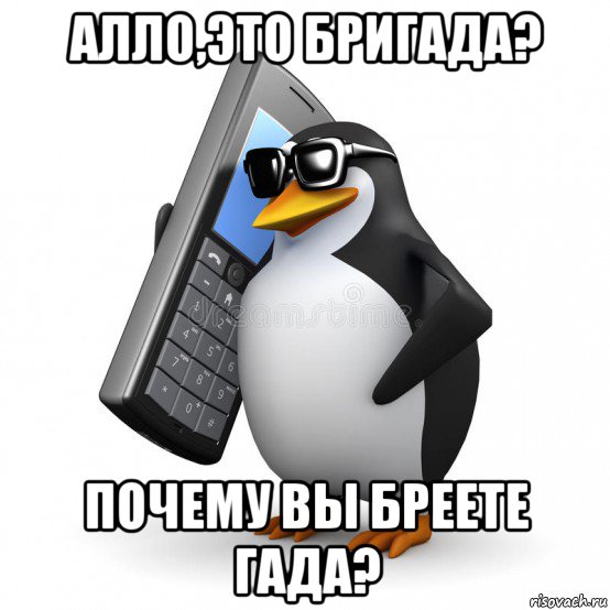 алло,это бригада? почему вы бреете гада?, Мем  Перископ шололо Блюдо