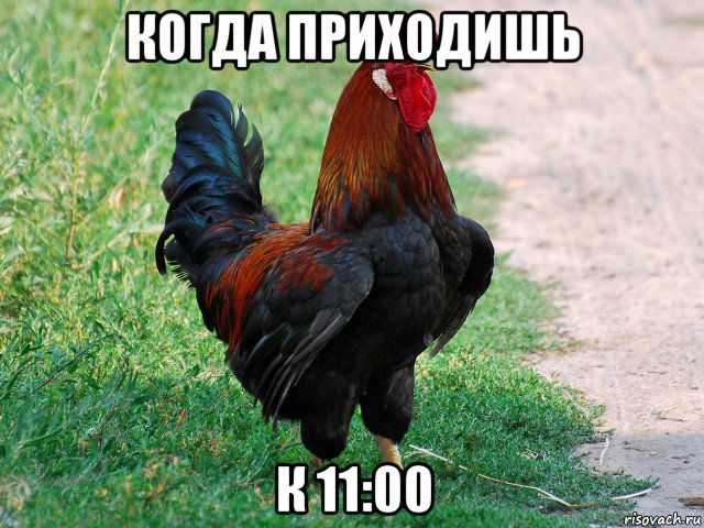 когда приходишь к 11:00