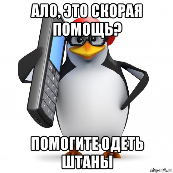 ало, это скорая помощь? помогите одеть штаны, Мем   Пингвин звонит