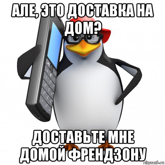 але, это доставка на дом? доставьте мне домой френдзону, Мем   Пингвин звонит