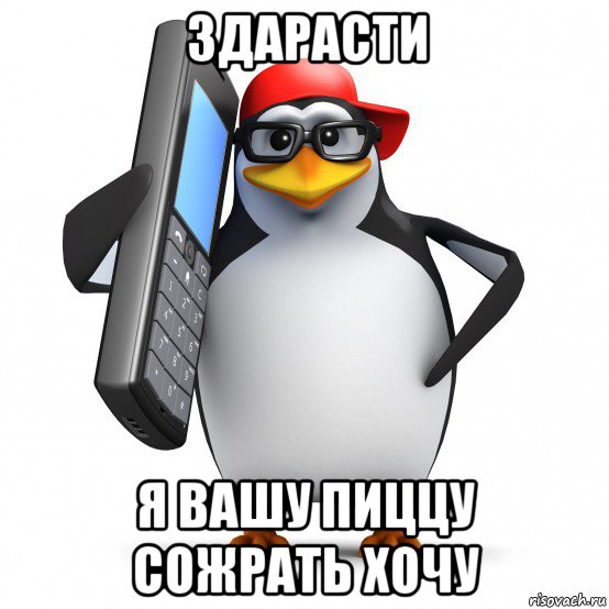 здарасти я вашу пиццу сожрать хочу, Мем   Пингвин звонит