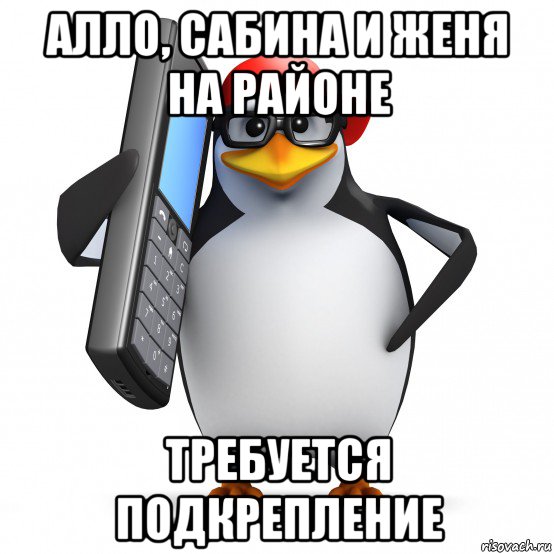 алло, сабина и женя на районе требуется подкрепление, Мем   Пингвин звонит