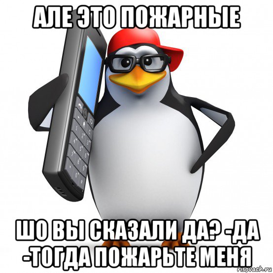 але это пожарные шо вы сказали да? -да -тогда пожарьте меня, Мем   Пингвин звонит