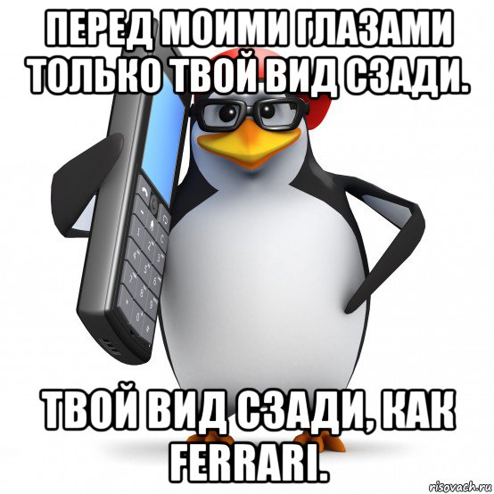 перед моими глазами только твой вид сзади. твой вид сзади, как ferrari., Мем   Пингвин звонит