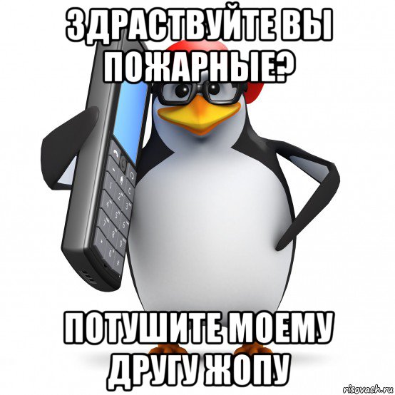 здраствуйте вы пожарные? потушите моему другу жопу, Мем   Пингвин звонит